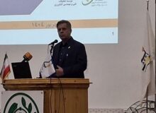 هدفگذاری تولیدات گلخانه ای دانش بنیان به ۱۵ میلیون تن