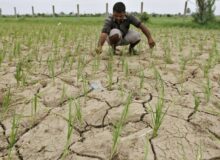 اتفاقی نو در حوزه خاک کشاورزی/تخصیص ۸۰ میلیارد تومانی اعتبارات خاکشناسی