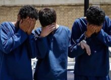 سارقان باغ ویلاهای ساوجبلاغ دستگیر شدند