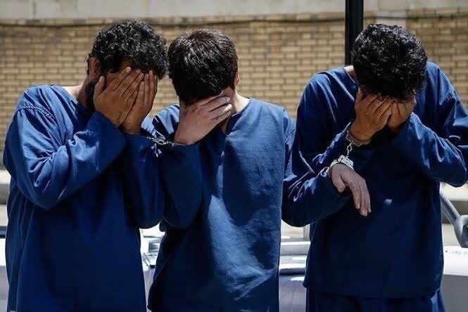 سارقان باغ ویلاهای ساوجبلاغ دستگیر شدند