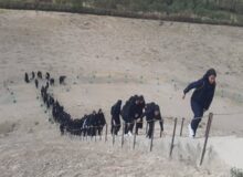 روز فرهنگی نظرآباد فرصتی برای پیوند نسل امروز با ریشه‌های تاریخی این سرزمین است