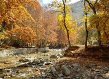 برغان در مسیر جهانی شدن؛ ترکیب طبیعت بکر و میراث فرهنگی