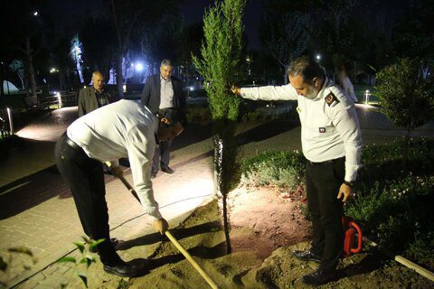 آتشنشانان کرجی در پارک ملی ایران کوچک سرو ایثار کاشتند