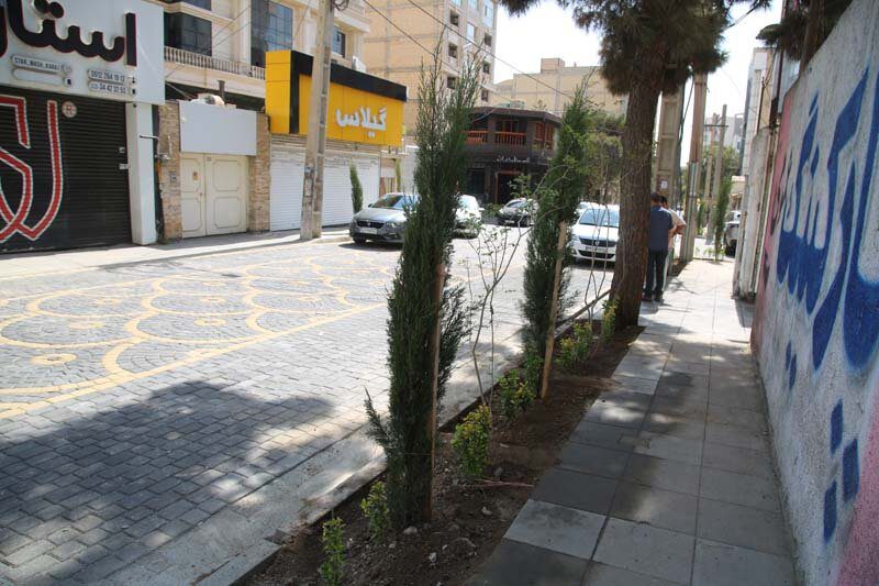 کاشت بیش از ۱۰۰۰ اصله درخت و درختچه در رجایی‌شهر