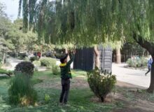 بوستان‌های منطقه ۸ شهرداری کرج رنگ و روی تازه گرفت