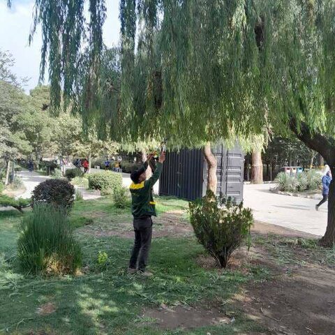 بوستان‌های منطقه ۸ شهرداری کرج رنگ و روی تازه گرفت