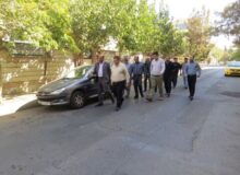 بهسازی بوستان ها و مجموعه‌های تفریحی از اولویت‌های منطقه ۹ است