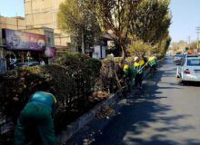 طرح احیای سبز در منطقه ۸ کرج به اجرا درمی‌آید