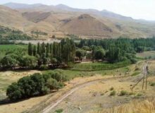 ایستا؛ جایی که دنیای مدرن بی‌معنی می‌شود