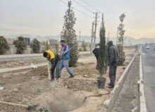کمربندی مهرشهر احیاء می‌شود/ اجرای طرح گسترده درختکاری و ایجاد باند سبز