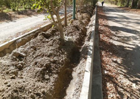 اجرای روش آبیاری قطره‌ای زیرسطحی در نهالستان بزرگ کرج به‌صورت پایلوت