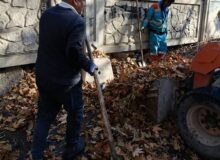 انجام روزانه عملیات برگ‌روبی در منطقه ۴ کرج / آماده‌باش کامل برای بارندگی‌ها