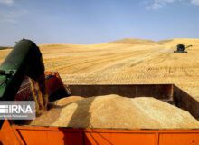 کشف کلاهبرداری ۷۴۰ میلیارد ریالی و دستگیری کارمند متخلف در البرز