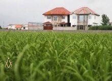 آزاد سازی ۴۱۵ هکتار از اراضی کشاورزی در کرج