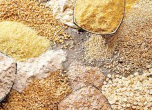 خرید تضمینی ۱۰۶ هزار تن نهاده دامی و کشاورزی در البرز