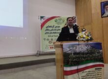 ۵۰ درصد صادرات محصولات کشاورزی به خارج از کشور به تولیدات باغی اختصاص دارد