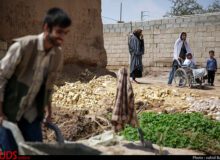 برگزاری اردوی جهادی در البرز ؛ میزهای خدمت در مناطق محروم برپا شد