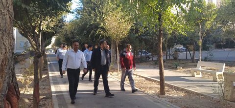 مدیر منطقه ۸ از آخرین وضعیت عمرانی، خدمات شهری و زیباسازی محلات بازدید کرد