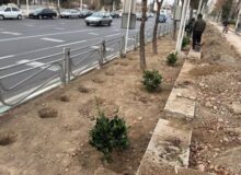 بلوار شهید بهشتی و تعاون ساماندهی شد