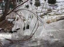 ادامه بارش های البرز تا صبح چهارشنبه ؛ دمای هوا هشت درجه سردتر می شود