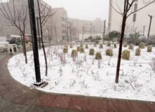 بارش شدید برف زمستانی در فردیس