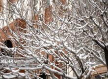 سرمای شدید در البرز رکورد زد/ پیش بینی بارش برف