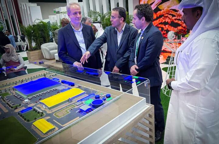 قطری‌ها مشتاق واردات دام سبک ایرانی