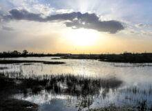 تالاب صالحیه نفس تازه می‌کند