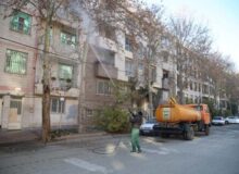اجرای عملیات محلول پاشی درختان چنار کرج