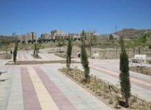 تعداد ۳۰۰۰ درخت و درختچه در پارک پرواز کاشته شد