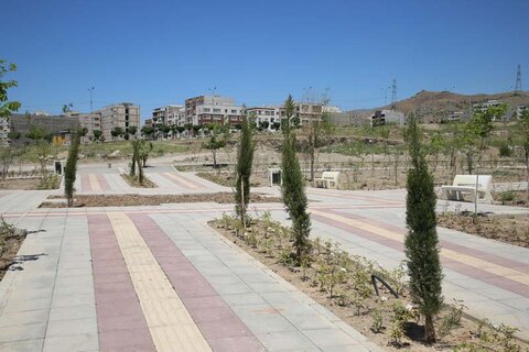 تعداد ۳۰۰۰ درخت و درختچه در پارک پرواز کاشته شد