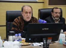 تأکید نائب رئیس مجلس بر افزایش واردات خودرو