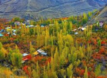 البرز با گردشگری پایدار می‌تواند به برند ملی تبدیل شود