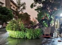 تاکید آتش‌نشانی کرج بر آمادگی شهروندان در برابر طوفان