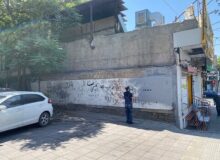 اقدام مستمر برای آراستگی معابر منطقه ۷ انجام می‌شود