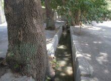 نجات باغات تاریخی کلاک از خشکیدگی/ حیات به ریه‌های سبز شهر بازگشت