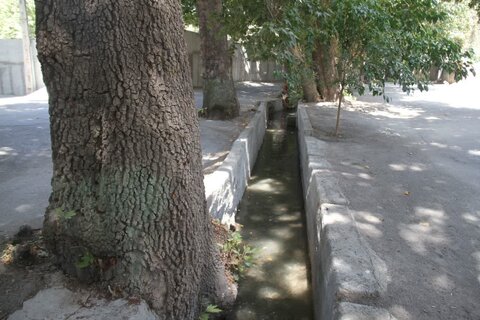 نجات باغات تاریخی کلاک از خشکیدگی/ حیات به ریههای سبز شهر بازگشت