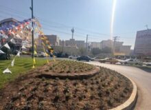 کاشت چهل‌ویک هزار و ۷۰۰ گلدان گل پاییزه در منطقه ۱ کرج در طرح استقبال از مهر