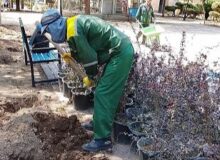 منطقه ۹ شهرداری کرج به استقبال از مهر رفت/آماده باش مدیریت شهری برای بازگشایی مدارس