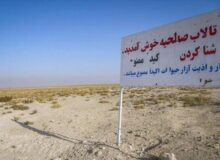 بازگشت امید به تالاب صالحیه